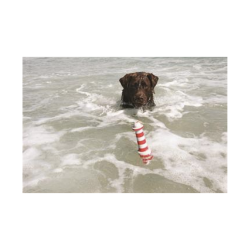 ROGZ Light House vandlegetj til hund